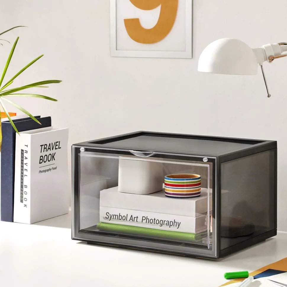 Clearance SONGMICS 20 Boîtes transparent Blanc