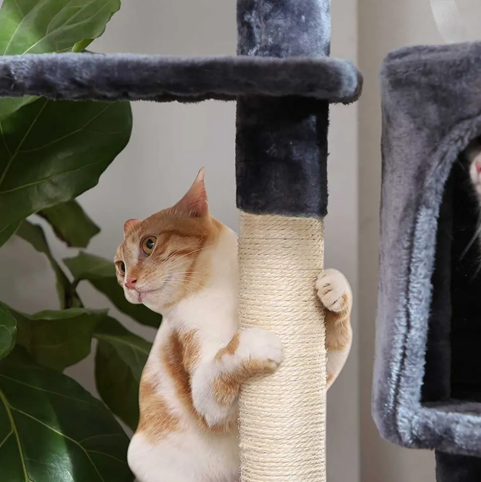 Best Sale SONGMICS Arbre à chat 120 cm gris clair
