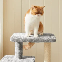 Best Sale SONGMICS Arbre à chat 84 cm gris clair