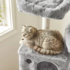 Best SONGMICS Arbre à chat 155 cm gris clair