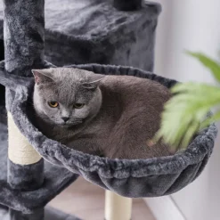Clearance SONGMICS Arbre à chat 168 cm gris foncé