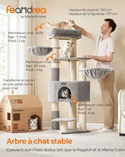 Online SONGMICS Arbre à chat 160 cm gris tourterelle et blanc crème