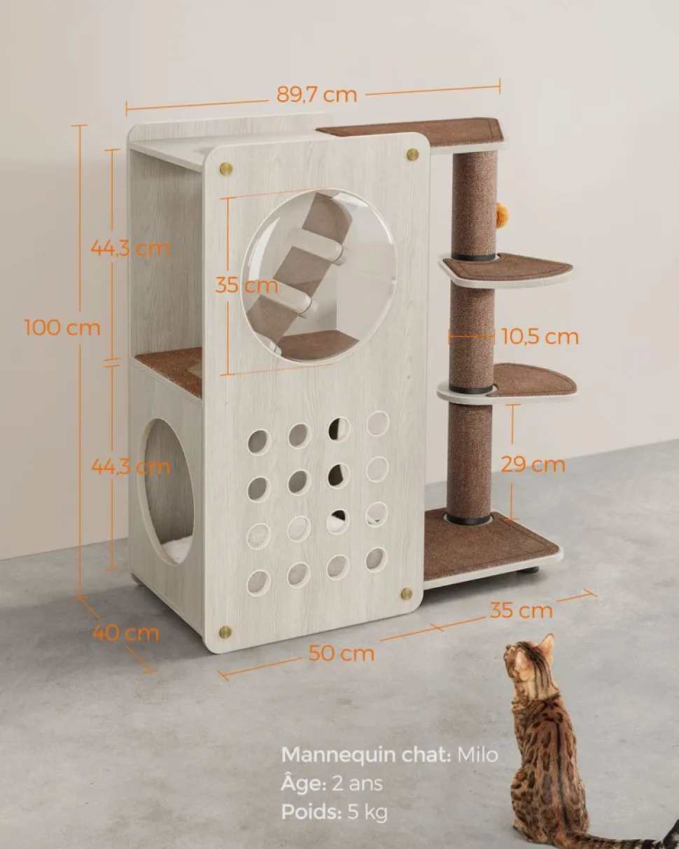 Store SONGMICS Arbre à chat avec poteau à griffer et échelle Marron Avoine + Marron Café