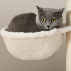 New SONGMICS Arbre à Chat griffoir  Brou de Noix