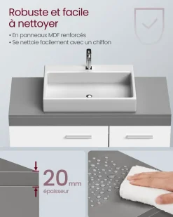 Outlet SONGMICS Armoire murale 2 miroirs