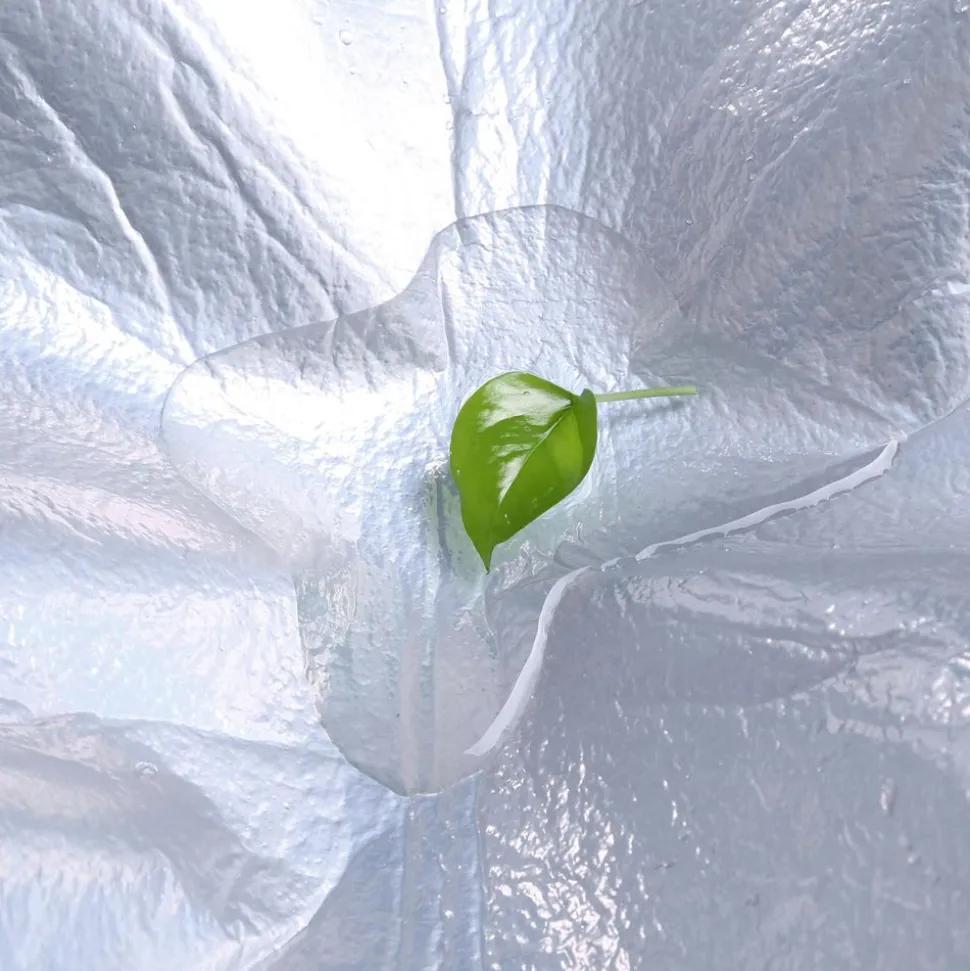 Cheap SONGMICS Boîte à bijoux 2 niveaux avec poignée blanc