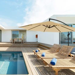 Discount SONGMICS Canisse 0,9 x 3 m gris foncé