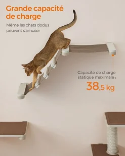 Best Sale SONGMICS Échelle avec hamac pour chat mural Marron Avoine + Marron Café