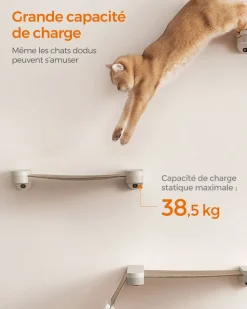 Outlet SONGMICS Hamac pour chat mural Marron Avoine + Marron Café