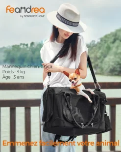 Online SONGMICS Sac transport chat chien pliable Noir Classique