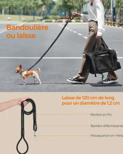 Online SONGMICS Sac transport chat chien pliable Noir Classique